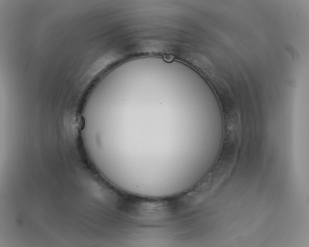 X0000113300160200910131054