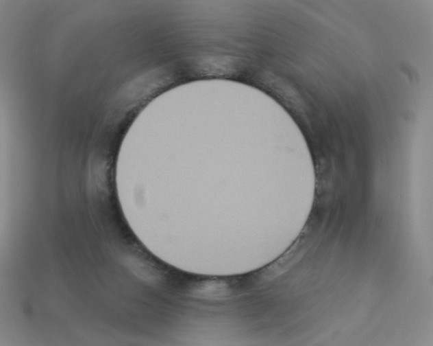 X0000113300162200910131054
