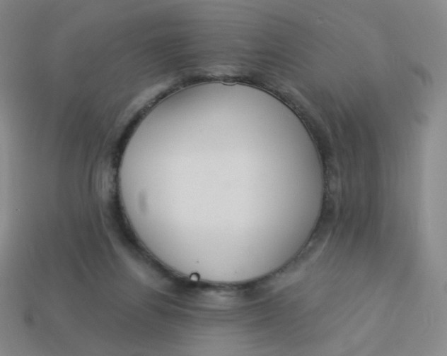 X0000113300164200910131054