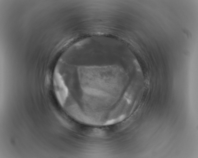 X0000113300166200910131054
