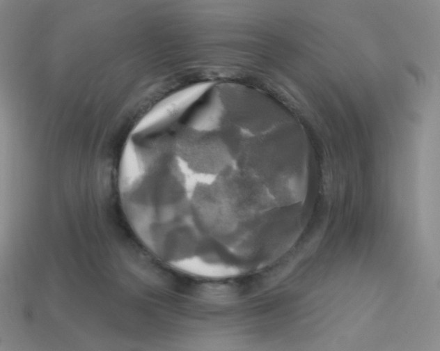 X0000113300169200910131054