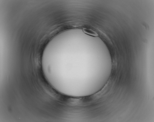 X0000113300170200910131054
