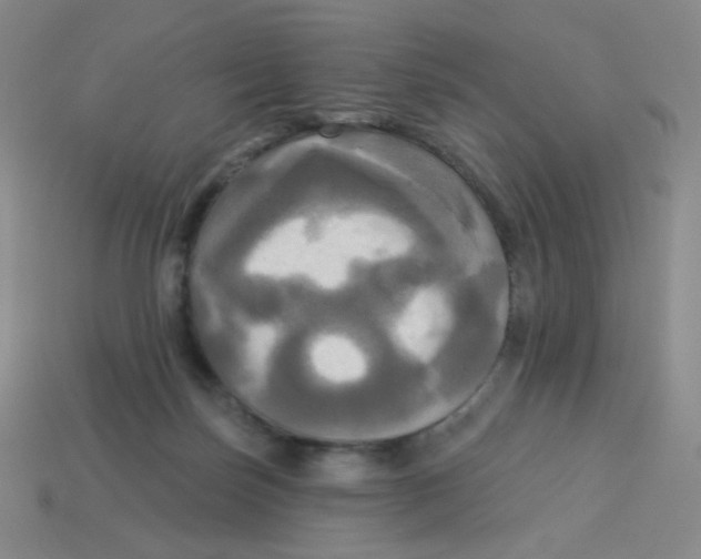 X0000113300171200910131054