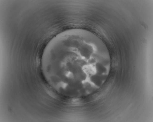 X0000113300173200910131055