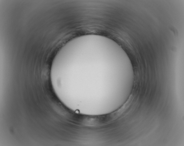 X0000113300174200910131055