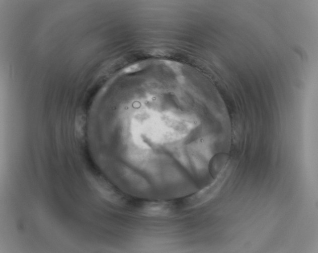 X0000113300175200910131055