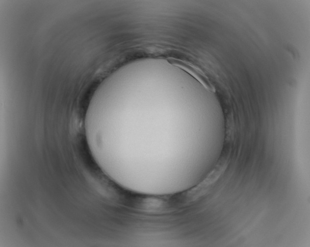X0000113300176200910131055