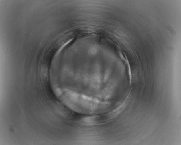 X0000113300178200910131055