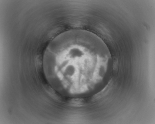 X0000113300179200910131055