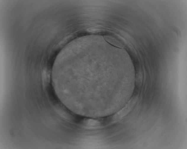 X0000113300180200910131055