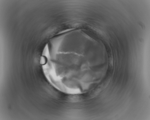 X0000113300181200910131055
