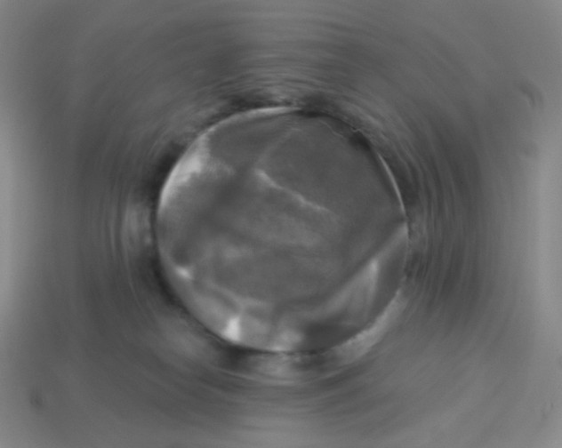 X0000113300182200910131055