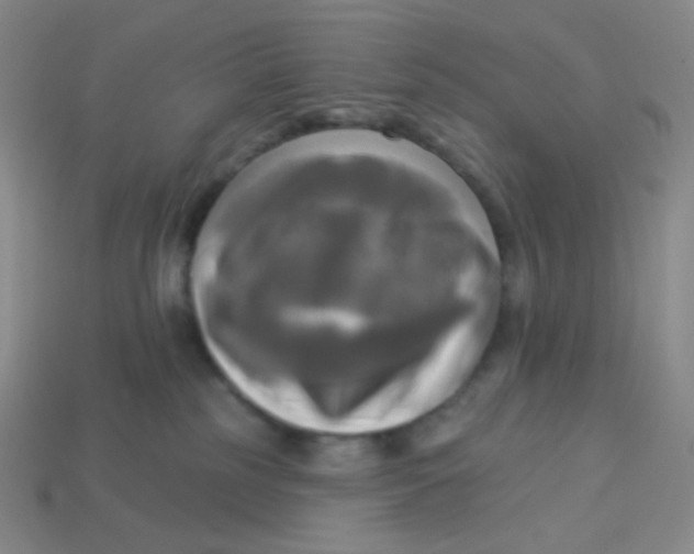 X0000113300185200910131055