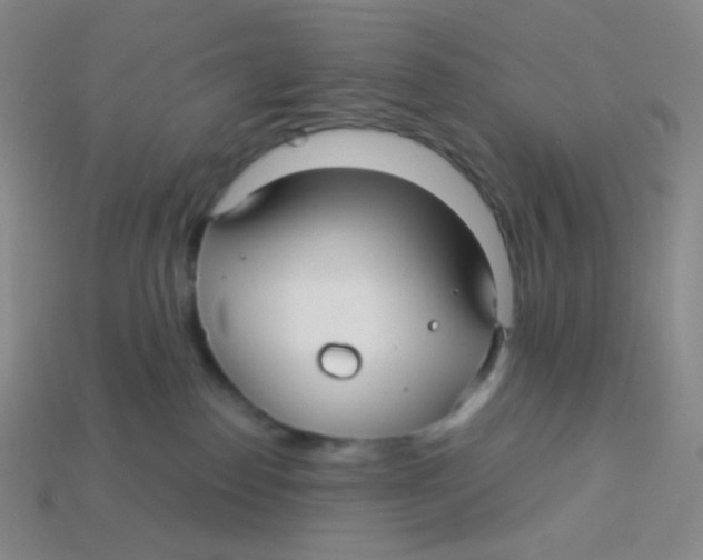 X0000113300186200910131055