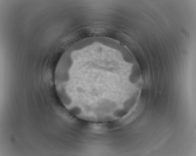 X0000113300187200910131055