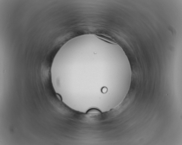 X0000113300188200910131055