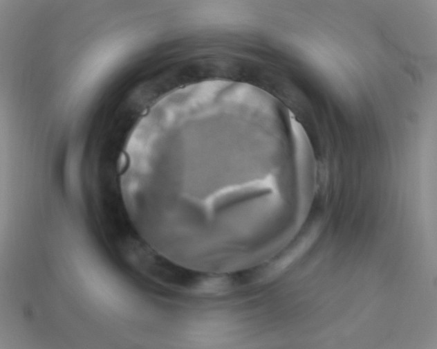 X0000113300189200910131055