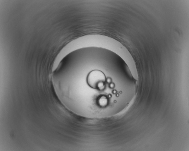 X0000113300190200910131055