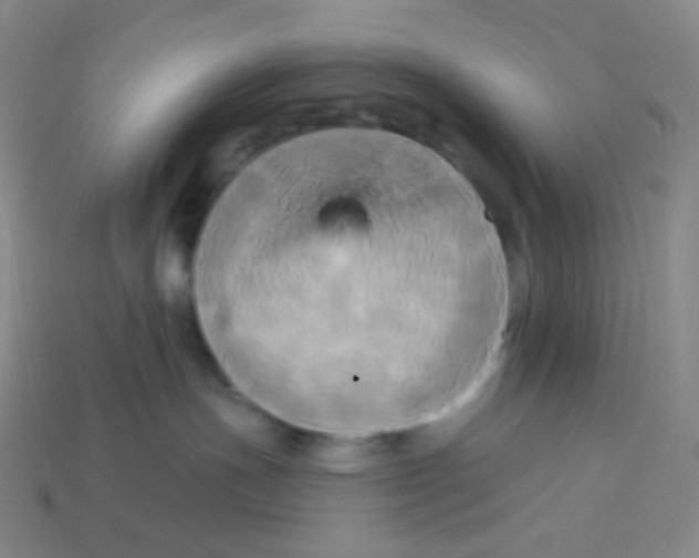 X0000113300191200910131055