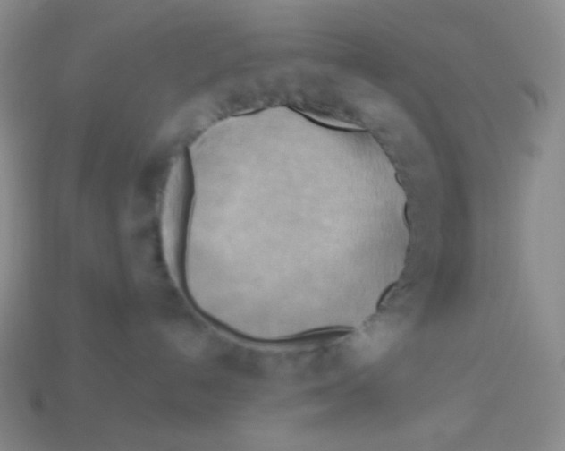 X0000113300192200910131055
