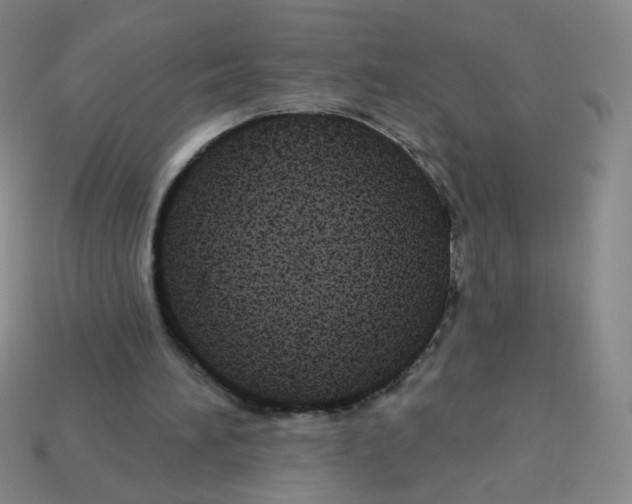 X0000113300196200910131054