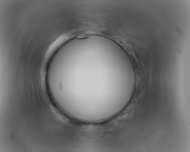 X0000113300197200910131054