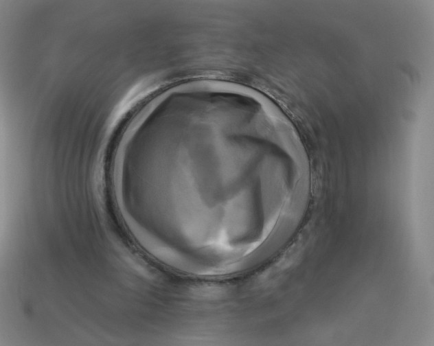 X0000113300198200910131054