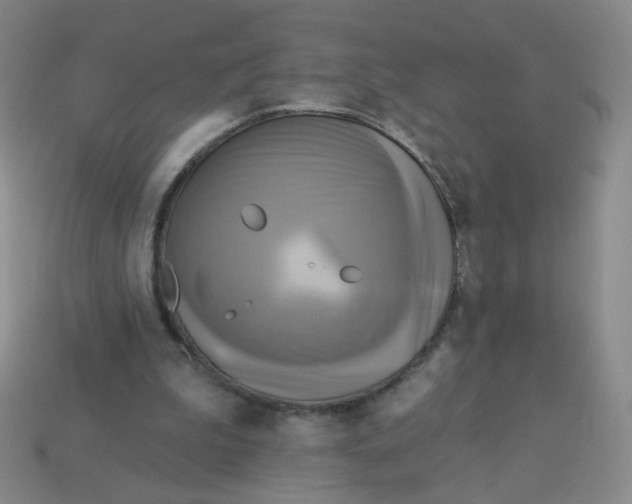 X0000113300199200910131054