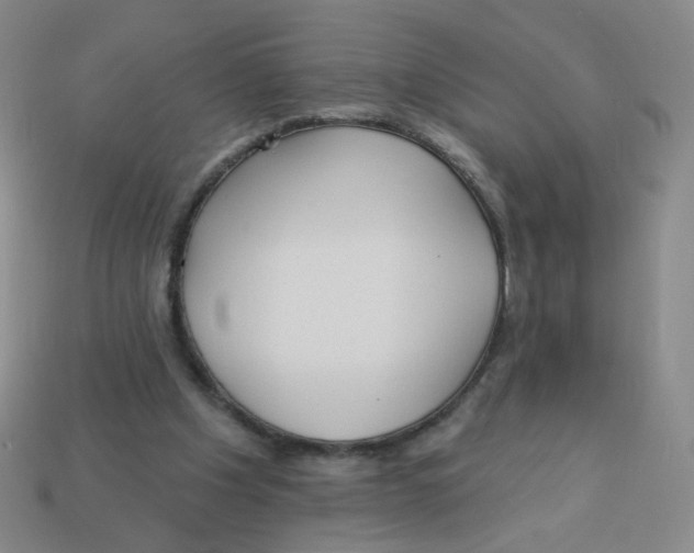X0000113300201200910131054
