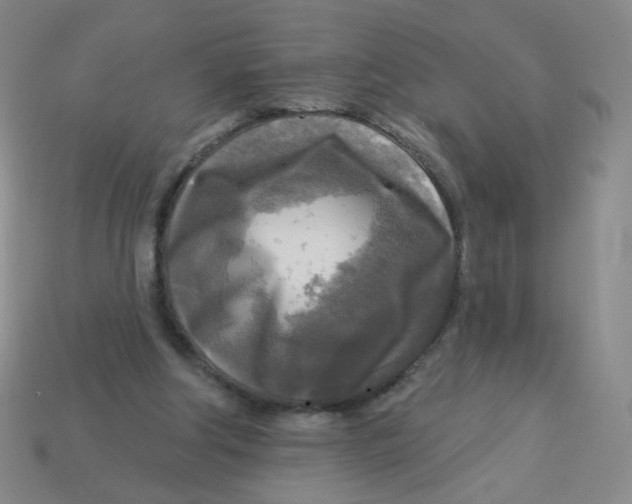 X0000113300202200910131054