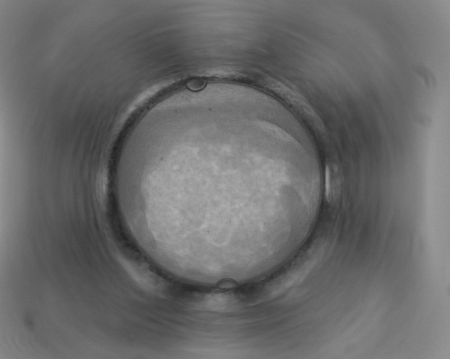 X0000113300204200910131054