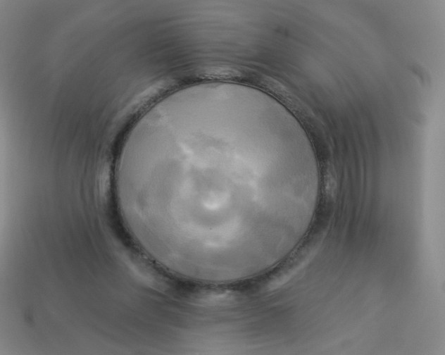 X0000113300206200910131054