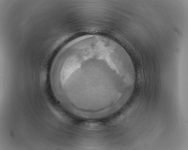 X0000113300208200910131054