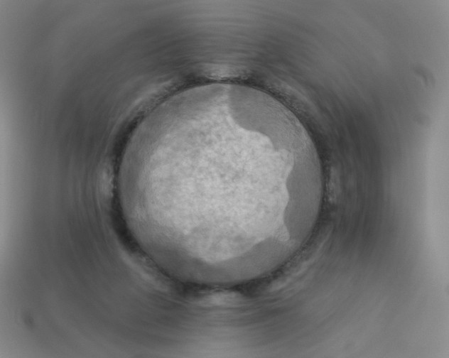 X0000113300210200910131054