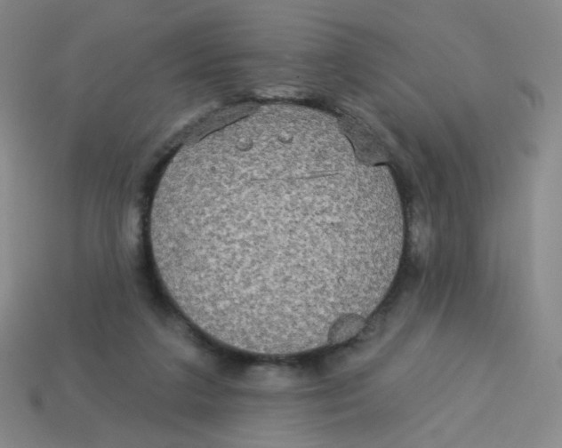 X0000113300211200910131054