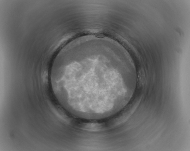 X0000113300212200910131054