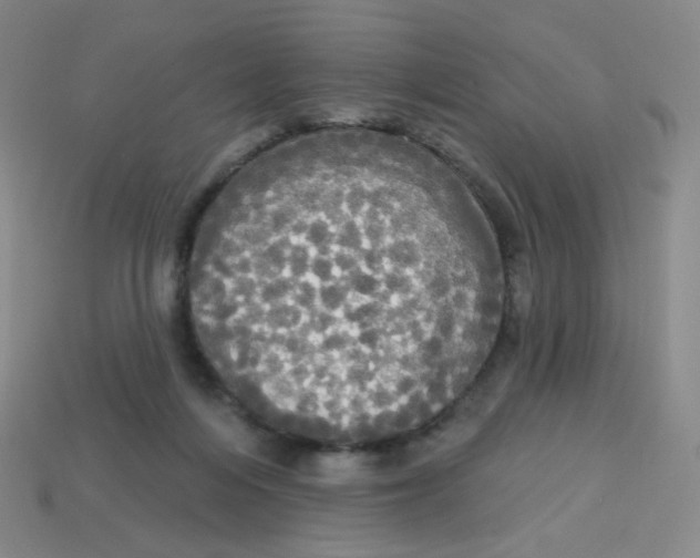 X0000113300216200910131054