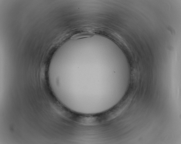 X0000113300217200910131054