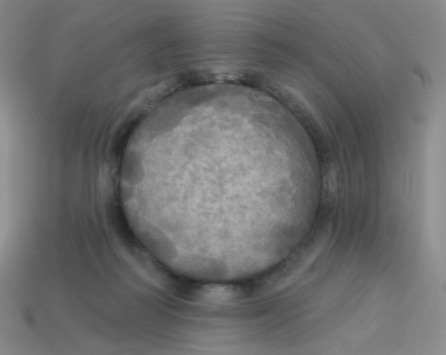 X0000113300218200910131054