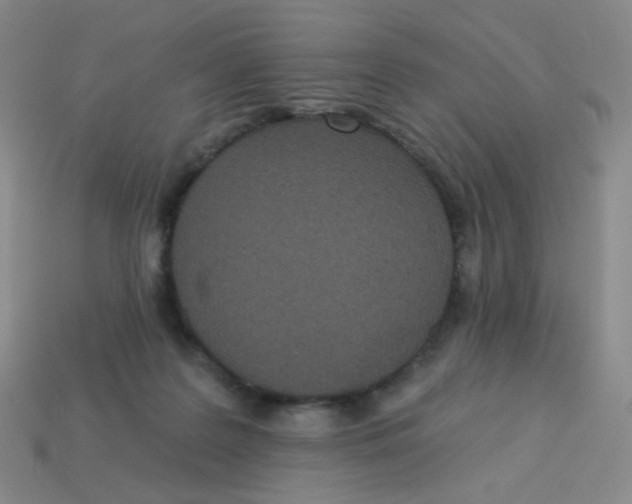 X0000113300219200910131054