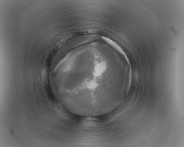 X0000113300222200910131054