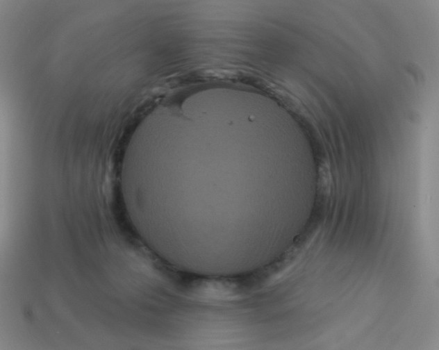 X0000113300223200910131054