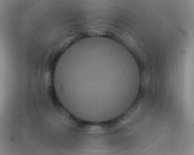 X0000113300224200910131054