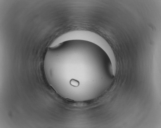 X0000113300225200910131054