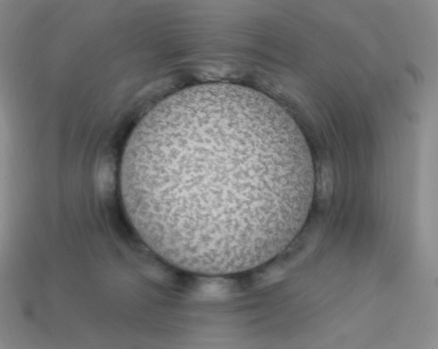 X0000113300226200910131054