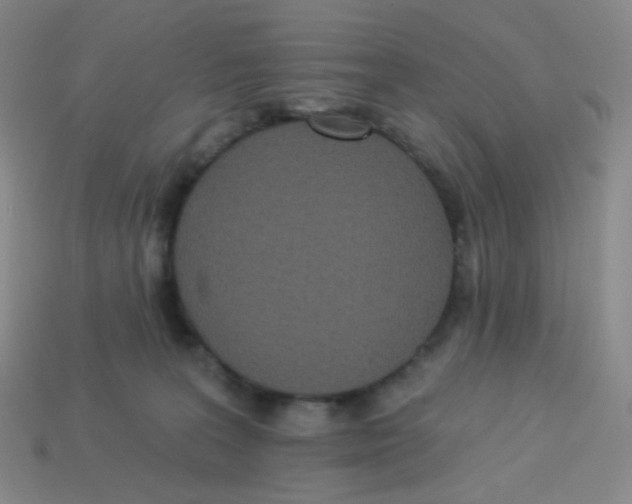 X0000113300227200910131054
