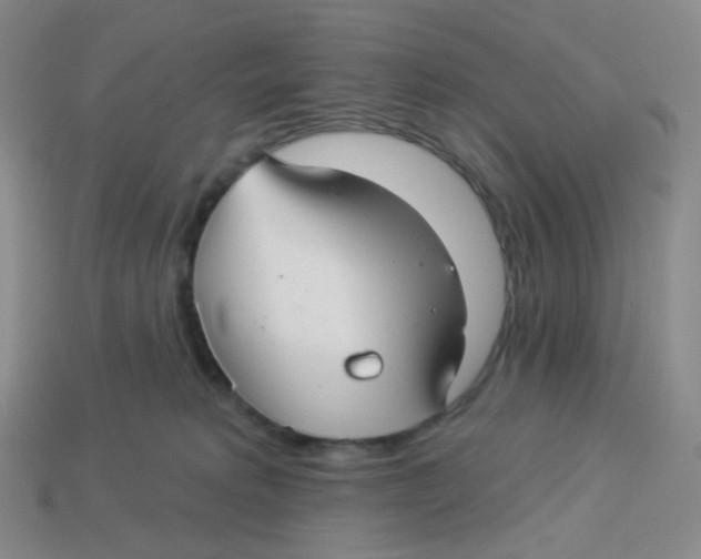 X0000113300229200910131053