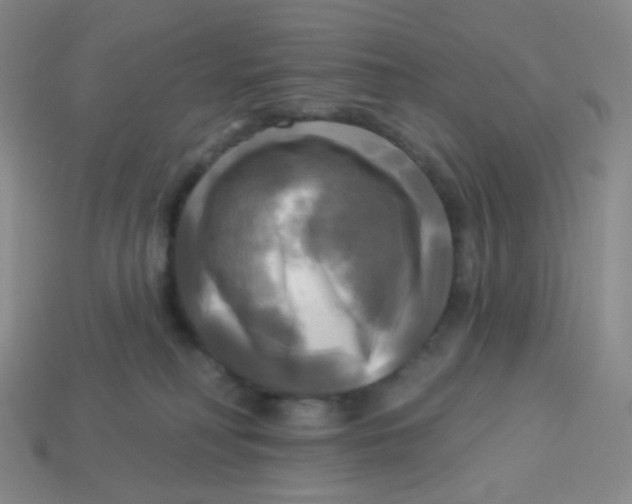 X0000113300230200910131053