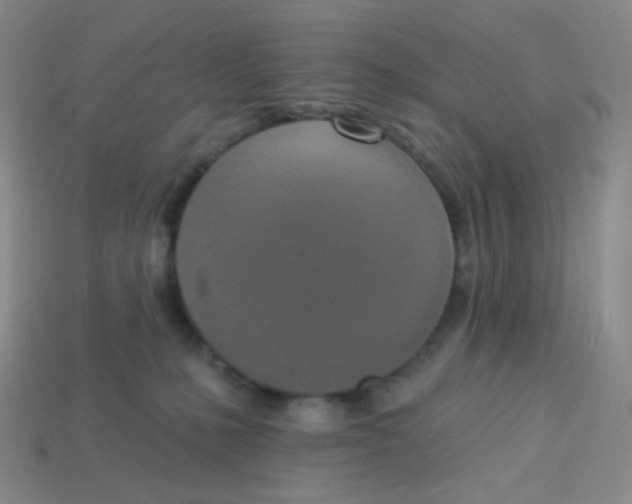 X0000113300231200910131053