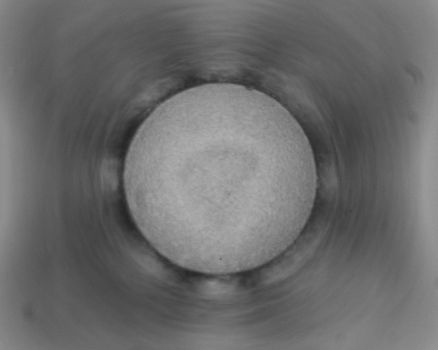 X0000113300232200910131053